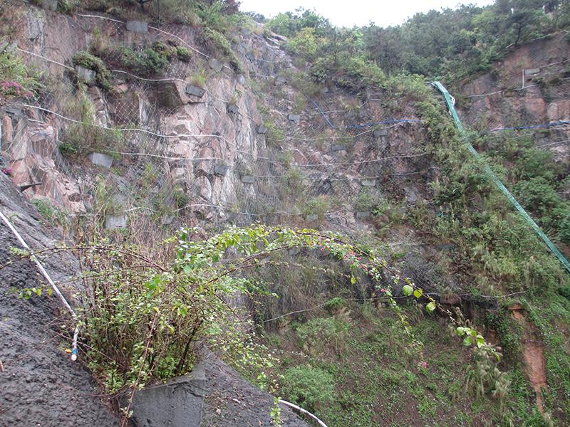 福建邊坡防護(hù)網(wǎng)